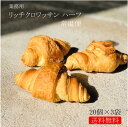 業務用 焼きたてリッチクロワッサン ハーフ 常温便業務用 国産 冷凍パン プロ仕様 八戸朝市発 朝食 夜食 保存食 工場直送 手作り おうち時間 送料無料