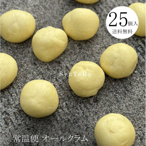 焼きたてオールクラム 常温便 業務用 国産 冷凍パン プロ仕様 八戸朝市発 夜食 保存食 工場直送 手作り おうちマクロビ プラント・ベースド 植物性食品 Ve時間 送料無料 焼きたてオールクラム 常温便 業務用 国産 冷凍パン プロ仕様 八戸朝市発 夜食 保存食 工場直送 手作り おうちマクロビ プラント・ベースド 植物性食品 Ve時間 送料無料