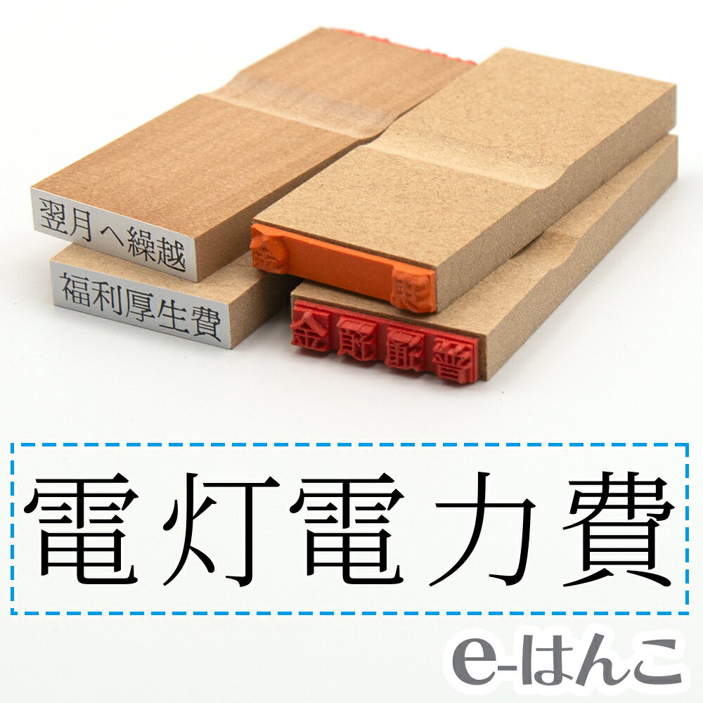 【 ゴム印 】科目印 『 電灯電力費 』 24×6mm 木製台木 【店頭受取対応商品】 会計 確定申告 青色申告 白色申告 出納長 簿記 帳簿 日計表 わかりやすい 既製品