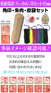 【落款セット】柘植落款（つげらっかん）印セット　10mm 角印 【店頭受取対応商品】【YOUNG zone】【HLS_DU】 書道 日本画 篆刻 年賀状 暑中見舞 絵手紙 平沢 進 平沢進 ロマン 朱文 白文 小さい 印鑑 落款印 2文字