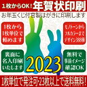 年賀状印刷（全375デザイン）〜ハガキ代・送料込みでお年玉くじ付官製はがきに印刷します〜 【YOUNG zone】【HLS_DU】 ▲