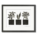 絵画 モノクロ ミニアート パキラとサンセベリアとガジュマル 黒フレーム 八切 | 植物画 版画 おしゃれ アートパネル モダン 北欧 インテリア装飾 玄関 オ...