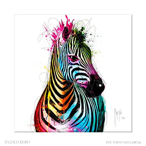 PLEXIGLAS Zebra Pop SIZE 690x690mm G CeA  Ǌ| G |bvA[g rrbh /ʃf