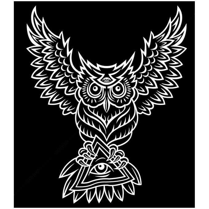 G ^  PLEXIGLAS Illuminati owl SIZE/mm 1330*1520  SymbolArt V{ fUC ǖʑ G ǊG EW VIP[