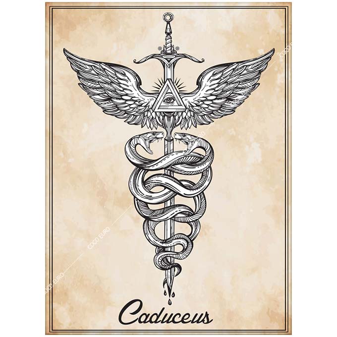 G ^  PLEXIGLAS Caduceus symbol of god Mercury SIZE/mm 880*1200  SymbolArt V{ fUC ǖʑ G ǊG EW VIP[