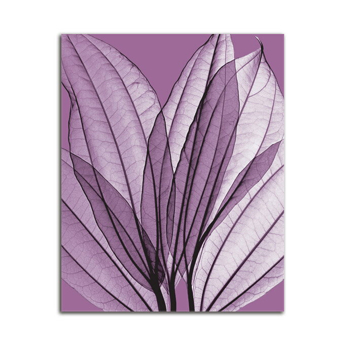 G ^   Leaf Bouquet Orchid SIZE/mm 800*1000  Ǌ| G ʐ^ CeA @ה gQ A[g