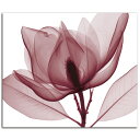 絵画 横長 高級 花 Red Magnolia Lsize W1200mm H890mm おしゃれ 壁掛け 絵 写真 インテリア 繊細美 レントゲン アート 韓国