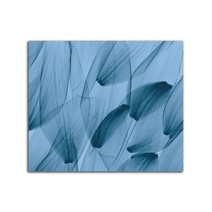 G ^   Tulip Petals Blue SIZE/mm 1000*800  Ǌ| G ʐ^ CeA @ה gQ A[g