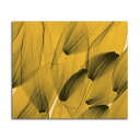 絵画 大型 高級 花 Tulip Petals Gold SIZE/mm 1000*800 おしゃれ 壁掛け 絵 写真 インテリア 繊細美 レントゲン アート