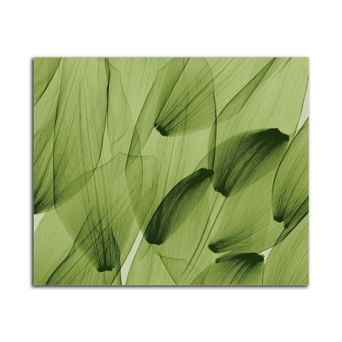 G ^   Tulip Petals Green SIZE/mm 1000*800  Ǌ| G ʐ^ CeA @ה gQ A[g