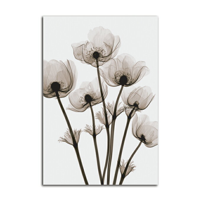 G c   Wild Flowers SIZE/mm 590*890  Ǌ| G ʐ^ CeA @ה gQ A[g ؍