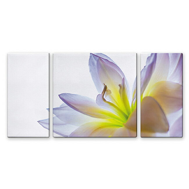【BLACK FRIDAY限定クーポン】 ユリの花 絵画 インテリア アートパネル LILY W60cm H30cm D2cm 3枚セット 白い花 新築 壁絵 ...