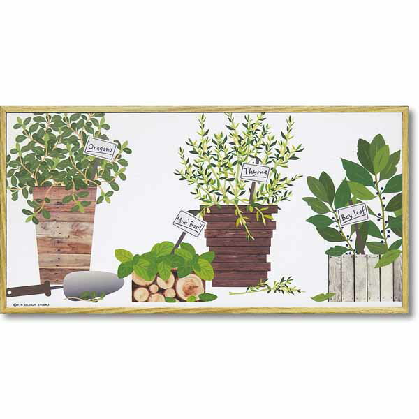 ȥѥͥ ܥ˥  ʪ ֥ϡ åAM  TVGN