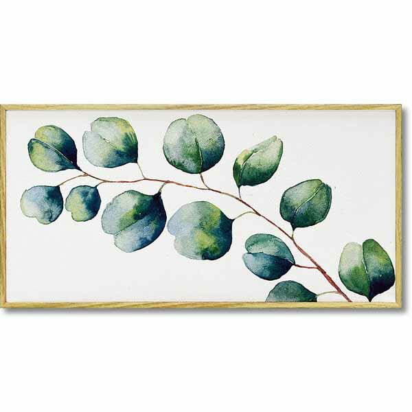 アートパネル ボタニカル 草花 植物 絵 自然「ユーカリ」M 花 TVGN