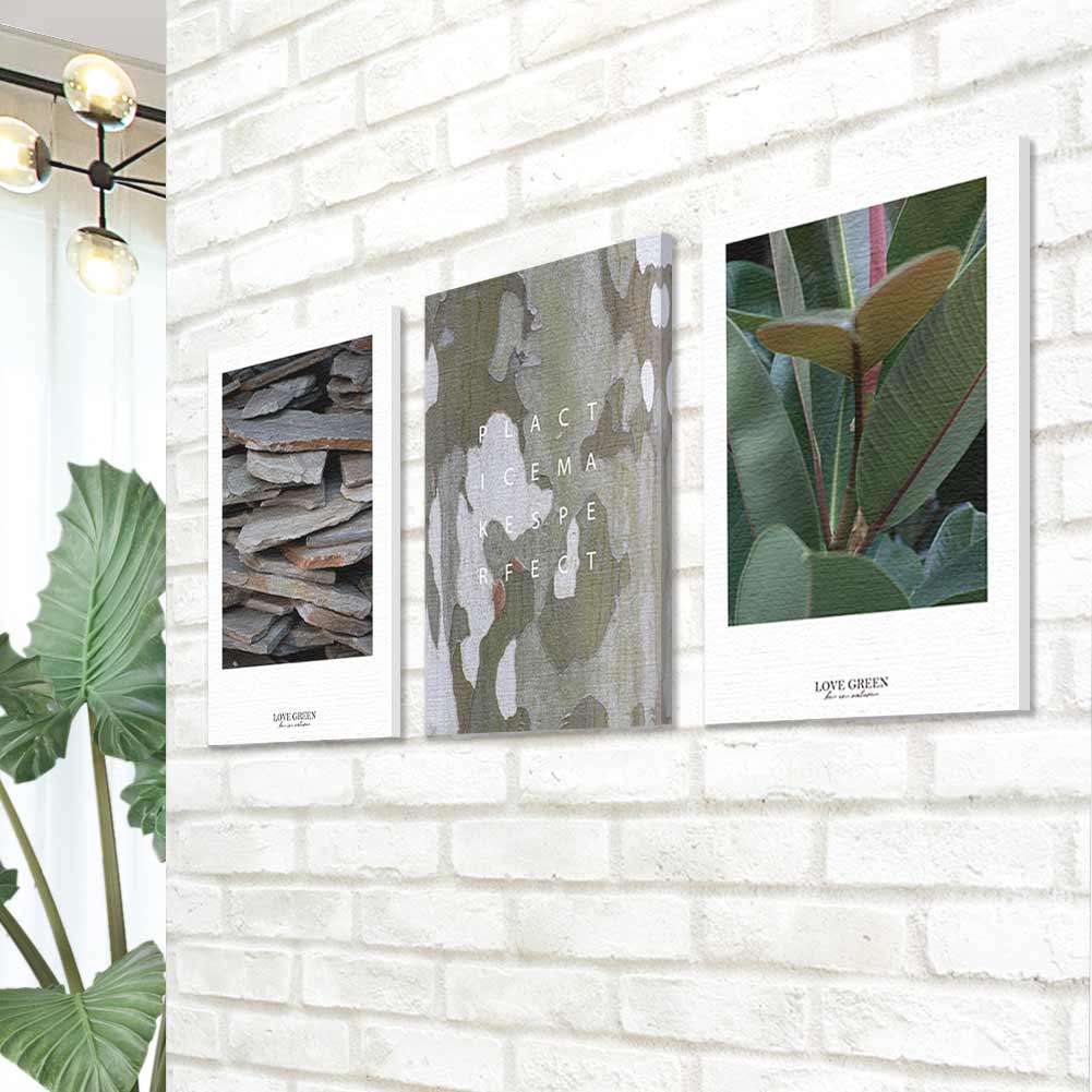CREA アートパネル 3枚セット 壁掛け インテリア 玄関 壁飾り 絵 ボタニカル 植物 サボテン 自然 ナチュラル モダン すっきり シンプル おしゃれ かわいい パネル MK コラボ ポスター 韓国
