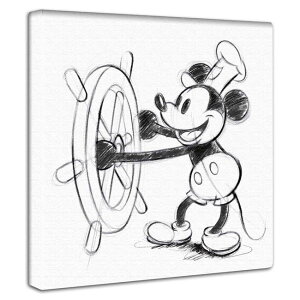 ミッキーマウス 船長 アートパネル ディズニー公式カード付 30cmx30cm ディズニー絵画 インテリア壁飾り カフェ・キッズスペース装飾 子供部屋 誕生日プレゼント 女の子 男の子