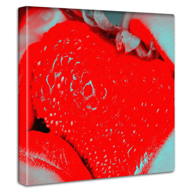 ȥѥͥ ƥꥢ ɳݤ å  ̿      ɾ ȥܡ ե֥åѥͥ