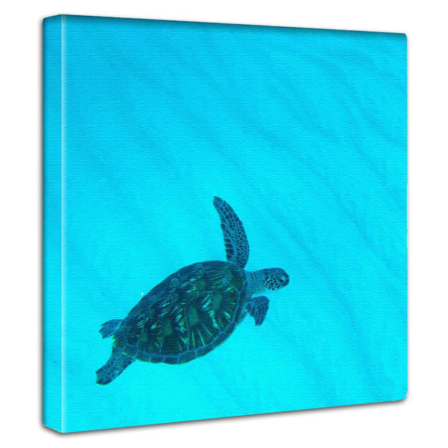 Amazon.co.jp: 亀柄 海亀 ウミガメ (2) タペストリー おしゃれ