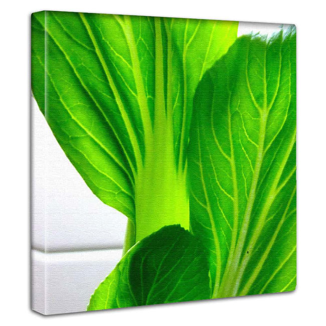 【BLACK FRIDAY限定クーポン】 ミニマルデザイン アートパネル インテリア シンプル ほうれん草 野菜 ..