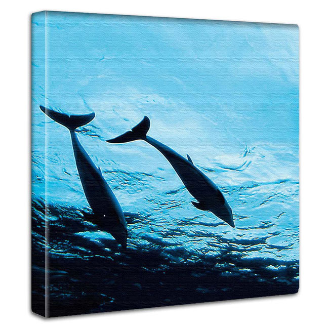 【BLACK FRIDAY限定クーポン】 ミニマルデザイン アートパネル インテリア アクアリウム 水族館 水槽 熱帯魚 イルカ 魅惑 幻想 メンズ シティーボ...