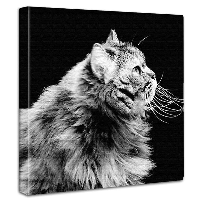 【感謝祭限定クーポン】 ミニマルデザイン アートパネル インテリア レトロ 白黒 昭和 アンティーク 純喫茶 教室 クリニック 贈り物 ギフト 記念日 ネコ 動物 動物病院