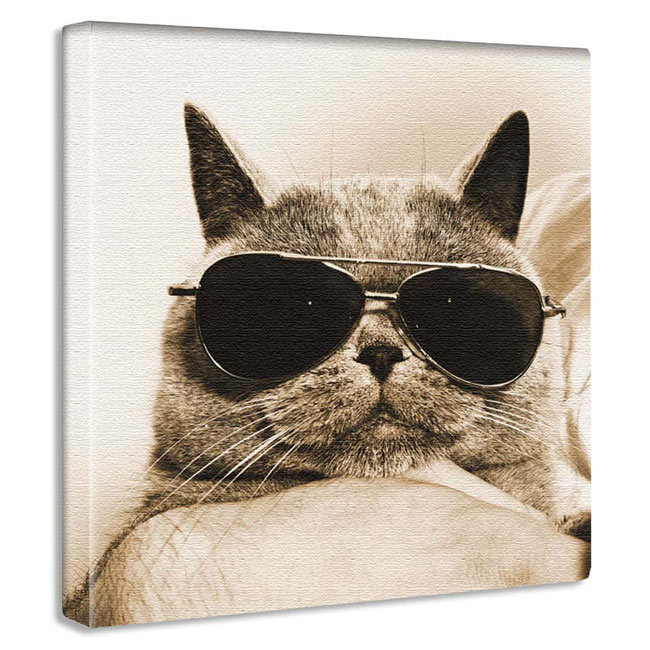 アートパネル 猫 サングラス 眼鏡 壁掛け 壁飾り おしゃれ インテリア アートパネル 写真 ネコ キャット リラックス くつろぎまったり 商業施設 ショップ イベント サロン 教室 動物病院 クリ…