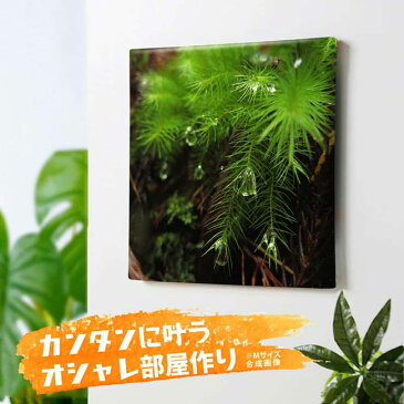 【お買物マラソン】ファブリックパネル 壁掛け インテリア 絵 アートパネル 絵 キャンバス 壁掛け コケや水草の風景写真