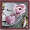アートポスター フレーム付き Art Collection Magnolias on a bowl 禅 ZEN 和モダン