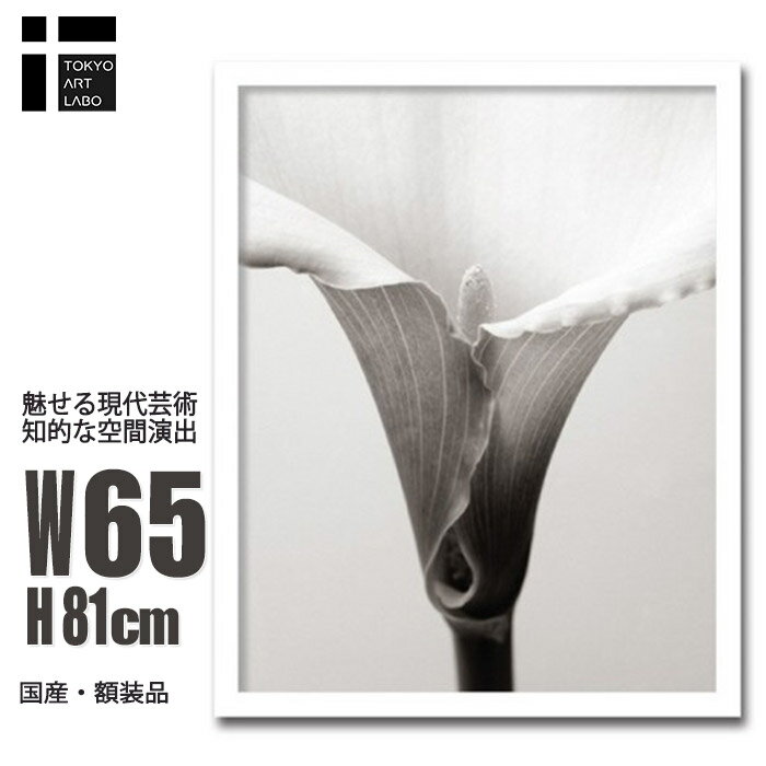 アートパネル モダン 花 玄関 Calla カラー レントゲンアート 絵画 インテリア おしゃれ 寝室 リビング オフィス ホテル 玄関 装飾 新築祝い 開業祝...