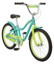 【整備済】（30％OFF)2019 SCHWINN（シュウィン）STAR DUST 20インチ 子供車 在庫限り