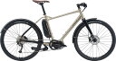 【PR】T41【45％OFF】試乗車アウトレット FUJI（フジ）FARPOINT CHAMPAGNE GOLD サイズL 在庫限り 正規品