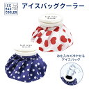 50%OFF【LINE新規クーポン付】アイスバッグクーラー / 外装ダメージ 夏バテ 熱中症 氷嚢 インフエンザ 高熱 熱さまし ゴルフ キャンプ アイシング ...