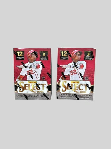 ȥ졼ǥ󥰥ɡեƥ㤨2021ǯ Panini Select ١ܡ եȥ꡼ 12 ֥饹ܥå 2ĥåȡפβǤʤ77,000ߤˤʤޤ