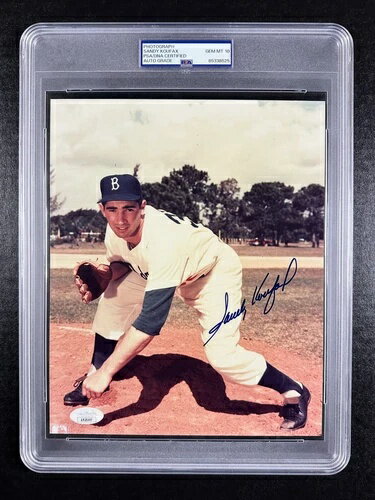サンディ・コーファックス 直筆サイン入り オート 8x10 PSA/DNAシール＆スラブ写真 ?? PSA 10