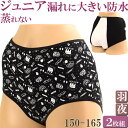 サニタリーショーツ ジュニア 羽根つき 夜用 生理用ショーツ 羽根つき対応 綿 かわいい 子供 生理用パンツ 吸水 防水布付きショーツ 消臭 セット 2枚[M:...