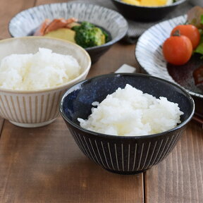 【最大600円OFFクーポン4/24 20:00～4/29 9:59】和食器 お茶碗 大きめお茶碗 彫十草 おしゃれ 食器 ご飯茶碗 茶碗 飯碗 ごはん茶碗 茶わん ちゃわん ライスボウル ボウル 大きい 大きめ カフェ食器 カフェ風 モダン