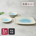 【先着100枚限定!150円OFFクーポン 5/30 0:00~23:59】盛皿 & 取り皿 4人用 合計5点セット 雫 和食器 割引セット 送料無料和食器 お...
