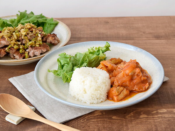 大皿　24cm　虹彩ベージュ　和食器 プレート 皿 お皿 パスタ皿 サラダ皿 ディナープレート メインプレート ワンプレート 食器 器 うつわ 和モダン モダン おしゃれ カラ