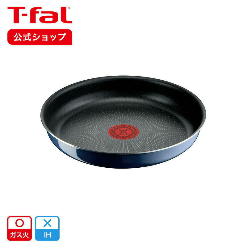 ڥƥե ۥ󥸥˥ͥ ֥롼ƥ ե饤ѥ22cm L43703 | T-fal Tfal ե饤ѥ ...