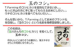 福島県会津産こしひかり10kg産地直送米