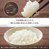 福島県会津産こしひかり10kg産地直送米
