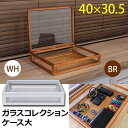 ショーケース オフィス収納 オフィス家具 家具 インテリア ガラスコレクションケース 大 BR WH 中身の見える コレクションケース 側面からも シンプルな蓋 小物 アクセサリー コレクション 収納 ブラウン ホワイト 小さなもの インテリア雑貨 雑貨 日用品 アクセ アクセサリ