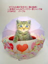 雨傘 傘 ファッション小物 レディースファッション 長傘 婦人 猫と飴柄 一枚張り オシャレ サンフラワー骨 ジャンプ傘 開くと花が咲いたよう シルエット ジャ...