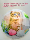 雨傘 傘 ファッション小物 レディースファッション 長傘 婦人 イースター猫柄 一枚張り オシャレ サンフラワー骨 ジャンプ傘 開くと花が咲いたよう シルエット...