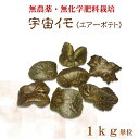 宇宙芋 形の良い物厳選 エアーポテト ソライモ むかご1kg 旬の野菜 愛知県産 農薬・化学肥料不使用 ポリフェノールと食物繊維が豊富