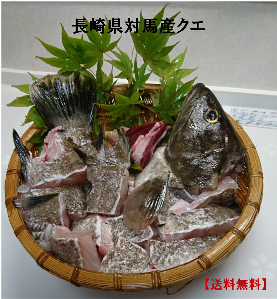 元魚屋が独断で格付け 美味しい根魚 勝手にランキング Best5 Tsuri Hack 釣りハック