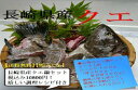 長崎県対馬産「幻の魚クエ」クエ鍋セット(700g)【送料無料...