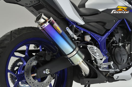 Realize(リアライズ) Aria（アリア） チタンマフラー Type-C カールエンド MT-25 512-SO-001-01