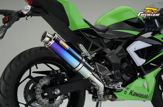 Realize(リアライズ) Aria（アリア） チタンマフラー Type-C カールエンド Ninja250SL 514-SO-001-01