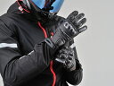 DAYTONA (デイトナ) HBG-036 スポーツショートグローブ BK/XL 99226